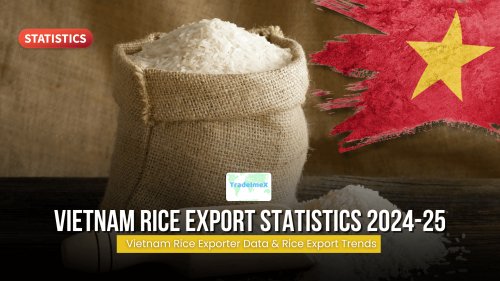 Vietnam Rice Export Statistics 2024-25: Vietnam Rice Exporter Data & Rice Export Trends