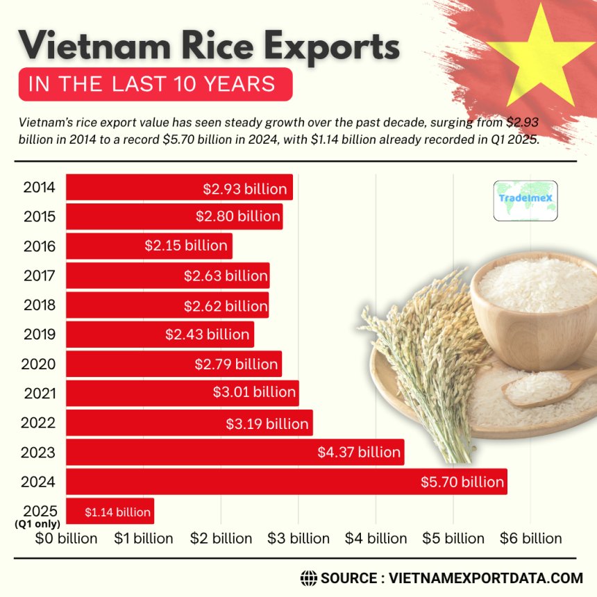 Vietnam Rice Exports in the Last 10 Years