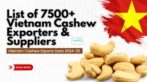 Vietnam Cashew Exports Data 2024-25: List of 7500+ Vietnam Cashew Exporters & Suppliers