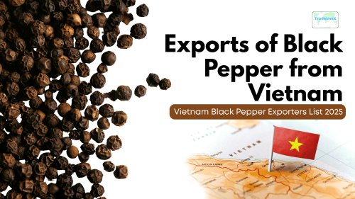 Exports of Black Pepper from Vietnam: Vietnam Black Pepper Exporters List 2025