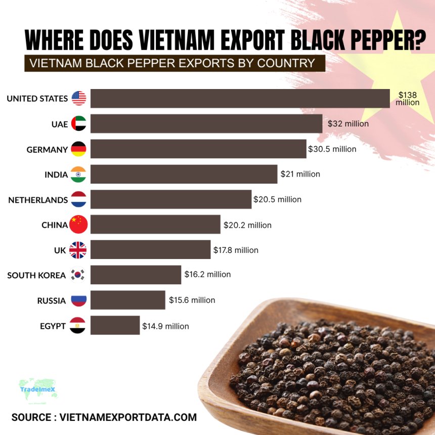 Vietnam Black Pepper Exports by Country
