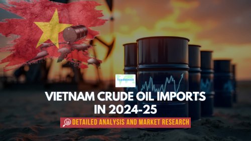 Vietnam Crude Oil Imports in 2024-25: Detailed Analysis and Market Research