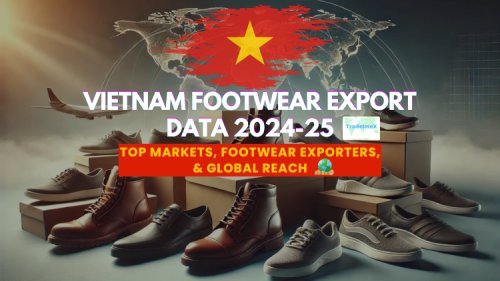 Vietnam Footwear Export Data 2024-25: Top Markets, Footwear Exporters, & Global Reach