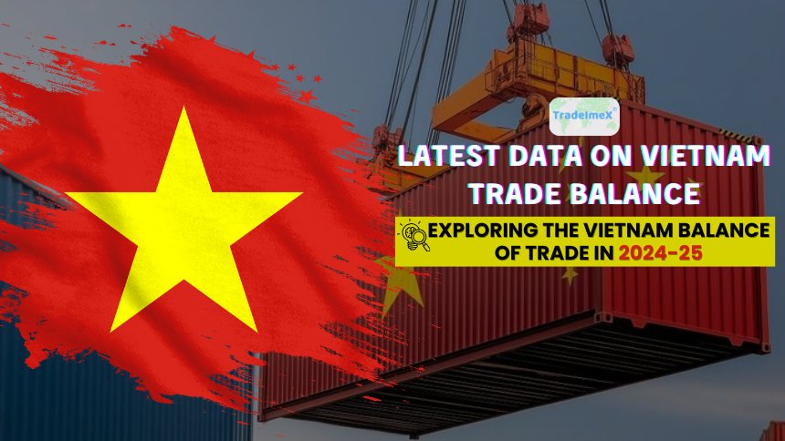 Latest Data on Vietnam Trade Balance: Exploring the Vietnam Balance of Trade in 2024-25