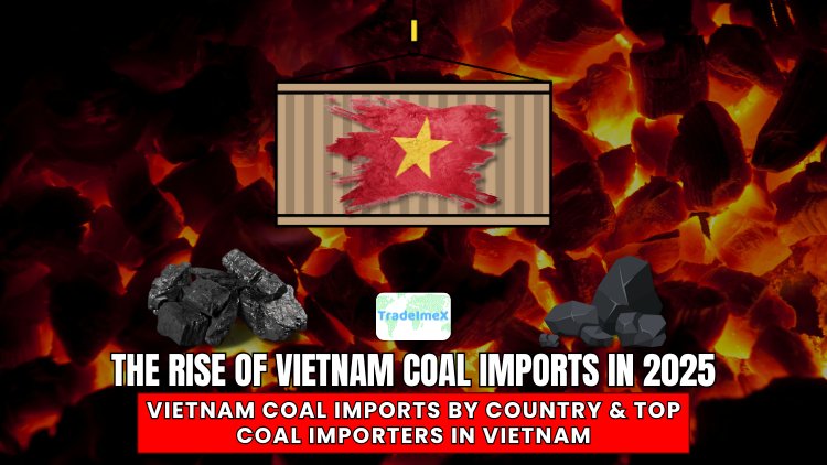 The Rise of Vietnam Coal Imports by Country in 2025: Top Coal Importers in Vietnam