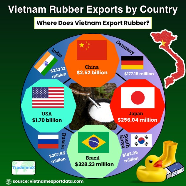 Vietnam rubber export by country 2024-25