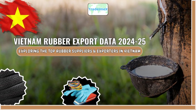 Vietnam Rubber Export Data 2024–25: Exploring the Top Rubber Suppliers & Exporters in Vietnam