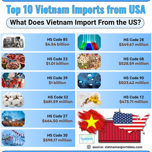 Top Vietnam imports from the US in 2024-25