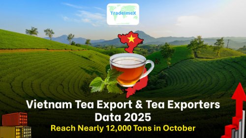 Vietnam Tea Export & Tea Exporters Data 2025: Vietnam Tea Exports Reach Nearly 12,000 Tons in October