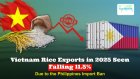 Vietnam Rice Exports in 2025 seen falling 11.5% due to the Philippines Import Ban