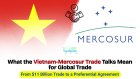 What the Vietnam-Mercosur Trade Talks Mean for Global Trade: From $11 Billion Trade to a Preferential Agreement