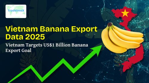 Vietnam Banana Export Data 2025: Vietnam Targets US$1 Billion Banana Export Goal