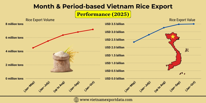 Monthly Vietnam Rice Export Data 2025