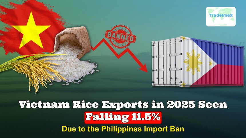 Vietnam Rice Exports in 2025 seen falling 11.5% due to the Philippines Import Ban