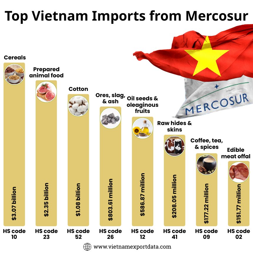 Top Vietnam Imports from Mercosur