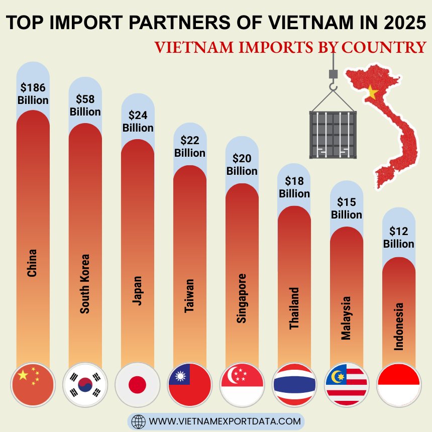 Top Import Partners of Vietnam in 2025