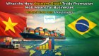 What the New Vietnam–Brazil Trade Promotion MoU Means for Businesses: Bilateral Trade Data & Key Insights
