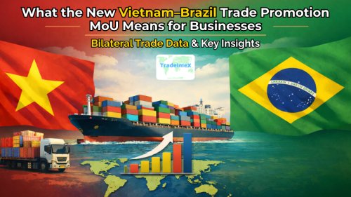 What the New Vietnam–Brazil Trade Promotion MoU Means for Businesses: Bilateral Trade Data & Key Insights
