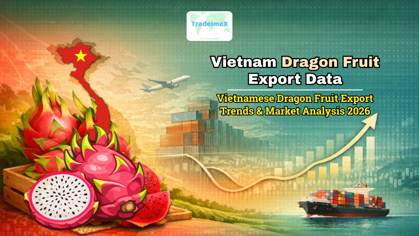 Vietnam Dragon Fruit Export Data: Vietnamese Dragon Fruit Export Trends & Market Analysis 2026