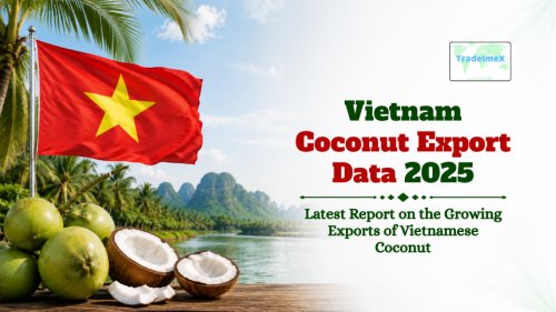 Vietnam Coconut Export Data 2025: Latest Report on the Growing Exports of Vietnamese Coconut