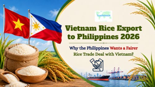 Vietnam Rice Export to Philippines 2026: Why the Philippines Wants a Fairer Rice Trade Deal with Vietnam?
